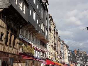 Les maisons du port